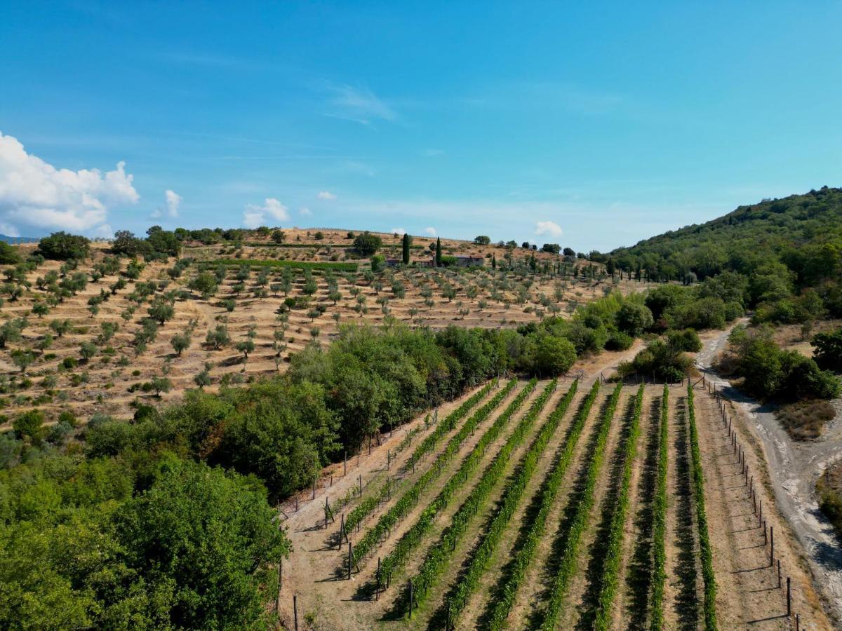 Tenuta Angelici Winery Agriturismo Henni With Pool Sauna And Jacuzzi Cortona 빌라 외부 사진